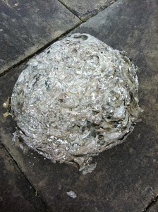 Wasp Nest Removal